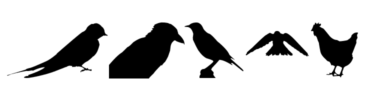 Birds TFB  Free Fonts Download