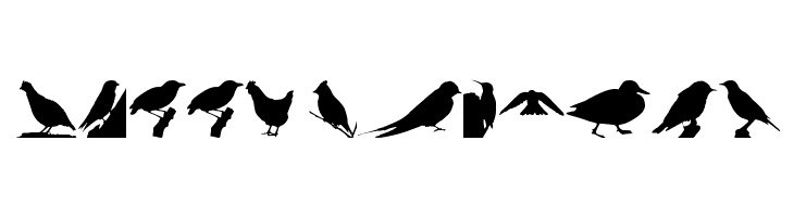 Birds TFB  Free Fonts Download