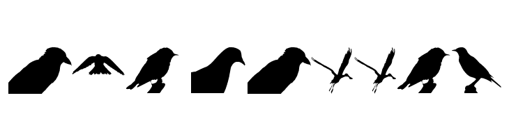 Birds TFB  Free Fonts Download