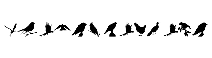 Birds TFB  Free Fonts Download