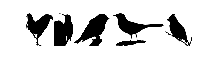 Birds TFB  Free Fonts Download