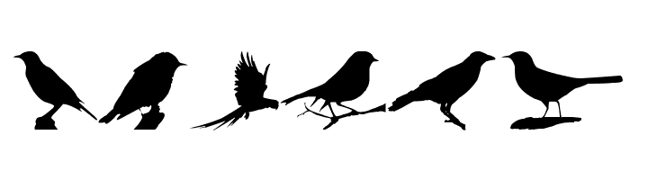 Birds TFB  Free Fonts Download