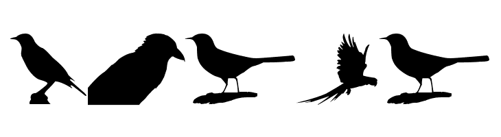 Birds TFB  Free Fonts Download
