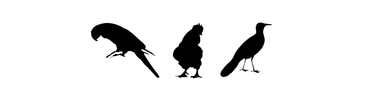 Birds TFB  Free Fonts Download