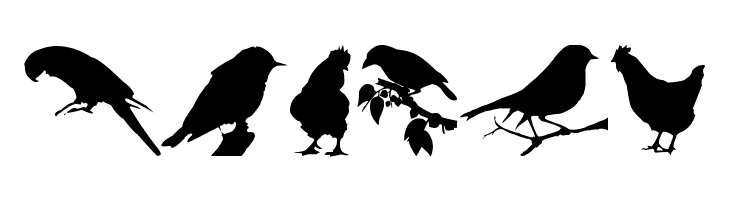Birds TFB  Free Fonts Download