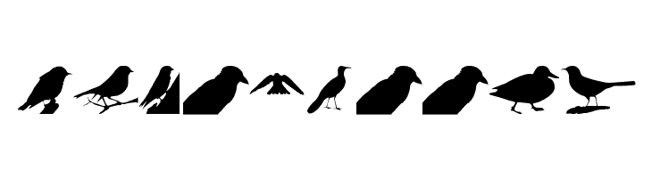 Birds TFB  Free Fonts Download