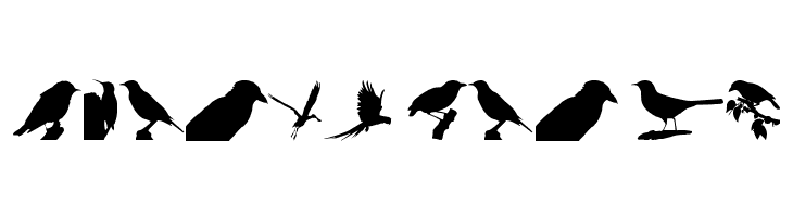 Birds TFB  Free Fonts Download
