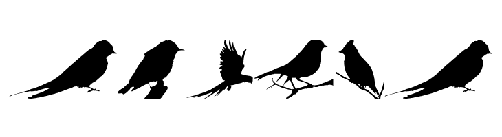 Birds TFB  Free Fonts Download