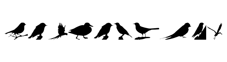 Birds TFB  Free Fonts Download