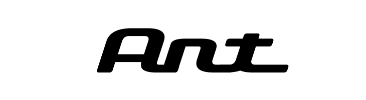 D3 Roadsterism Wide Italic  Free Fonts Download