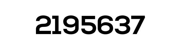 2195637 NexaBold Font