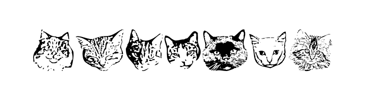 KittyPrint AOE  Free Fonts Download