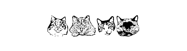 KittyPrint AOE  Free Fonts Download