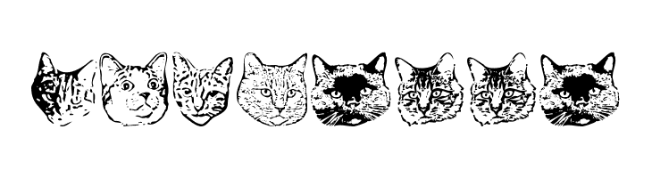 KittyPrint AOE  Free Fonts Download
