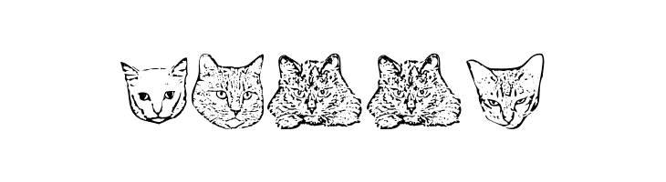 KittyPrint AOE  Free Fonts Download