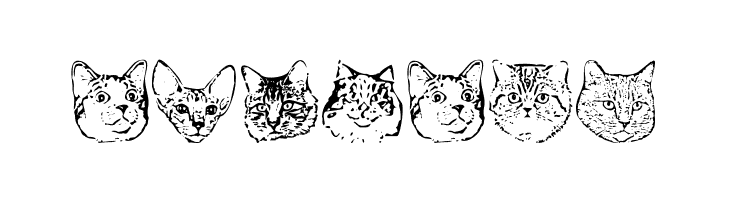 KittyPrint AOE  Free Fonts Download