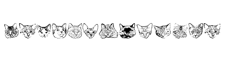 KittyPrint AOE  Free Fonts Download