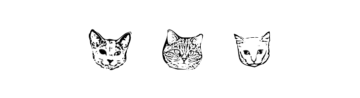 KittyPrint AOE  Free Fonts Download