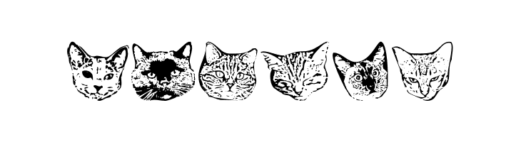 KittyPrint AOE  Free Fonts Download