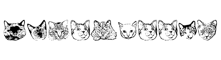 KittyPrint AOE  Free Fonts Download