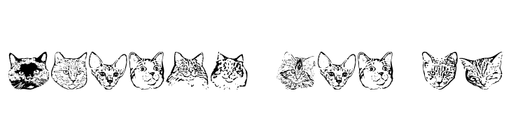 KittyPrint AOE  Free Fonts Download