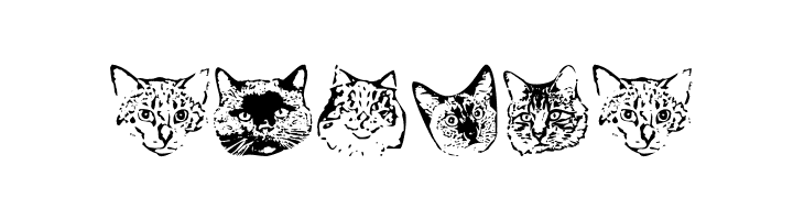 KittyPrint AOE  Free Fonts Download