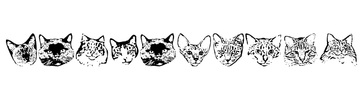 KittyPrint AOE  Free Fonts Download