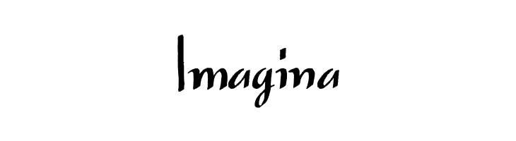 Japanese Tourist  Free Fonts Download