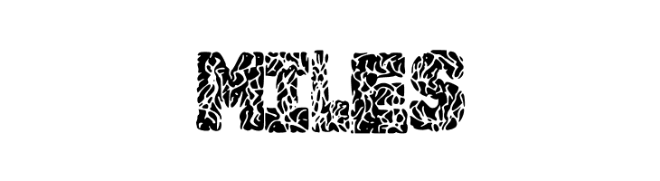 Brainy  Free Fonts Download