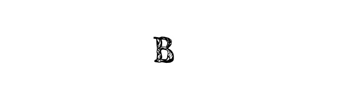 CF JUNGLE Regular  Free Fonts Download