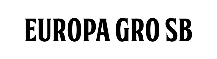 FTY SKORZHEN NCV  Free Fonts Download