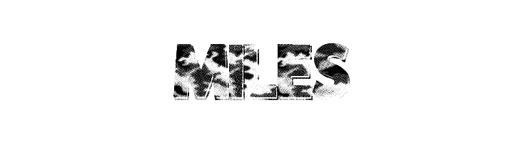 CamoWear  Free Fonts Download