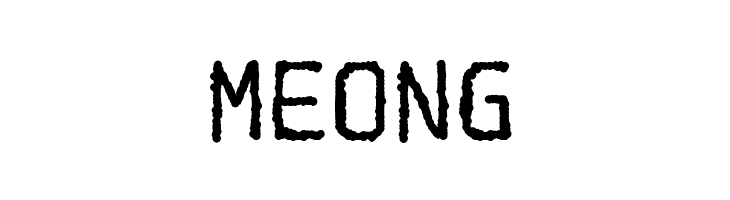 Spotlight Typewriter NC  Free Fonts Download