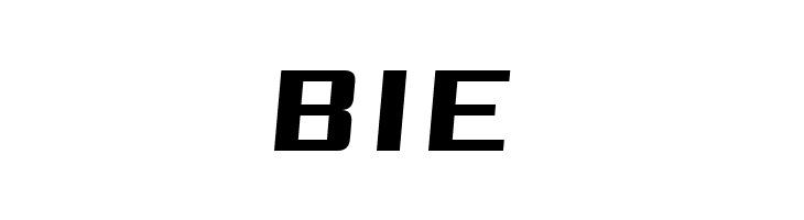 Reality Pursuit NC  Free Fonts Download
