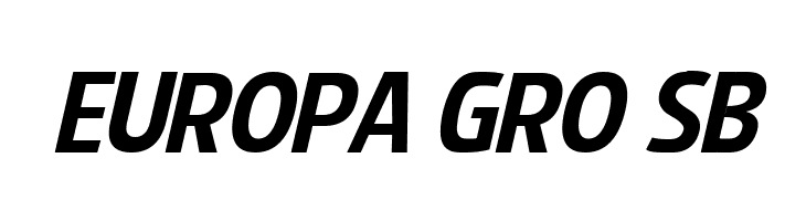 Splendid Plan 9 Italic  Free Fonts Download
