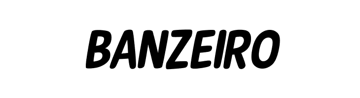 New Era Casual Bold Italic  Free Fonts Download