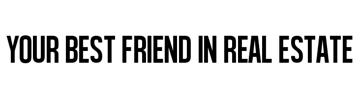 Al&eacute;gre Sans  Free Fonts Download