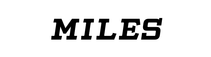 Slabby Prices Italic  Free Fonts Download