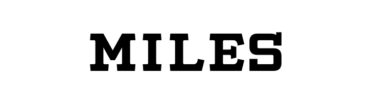 Slabby Prices Regular  Free Fonts Download