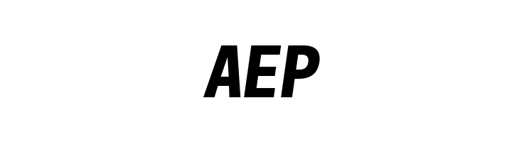 Freeroad Bold Italic  Free Fonts Download