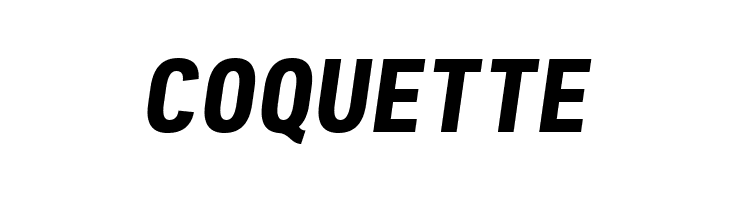 Freeroad Bold Italic  Free Fonts Download