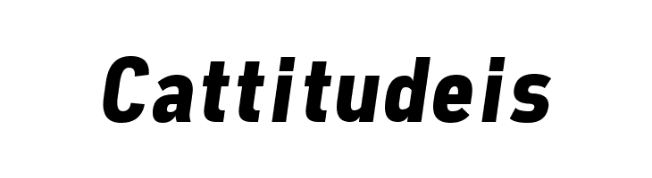 Freeroad Bold Italic  Free Fonts Download