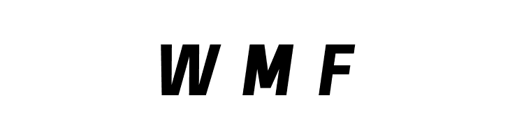 Freeroad Bold Italic  Free Fonts Download