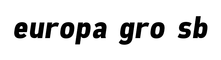 Freeroad Bold Italic  Free Fonts Download