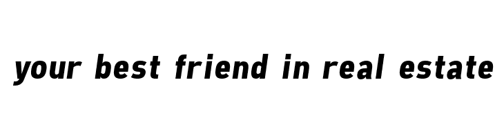 Freeroad Bold Italic  Free Fonts Download