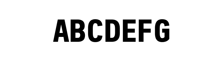 Freeroad Bold  Free Fonts Download