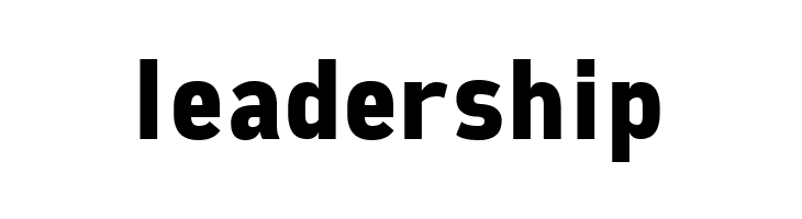 Freeroad Bold  Free Fonts Download