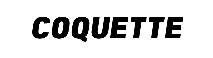 Freeroad Black Italic  Free Fonts Download