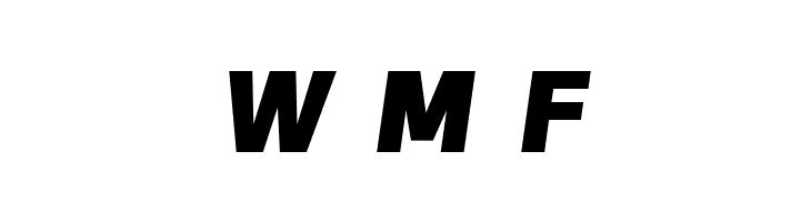 Freeroad Black Italic  Free Fonts Download