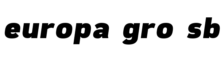 Freeroad Black Italic  Free Fonts Download